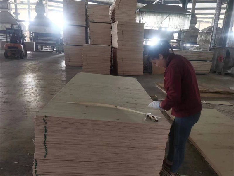 Plywood Poplar slàn (6)