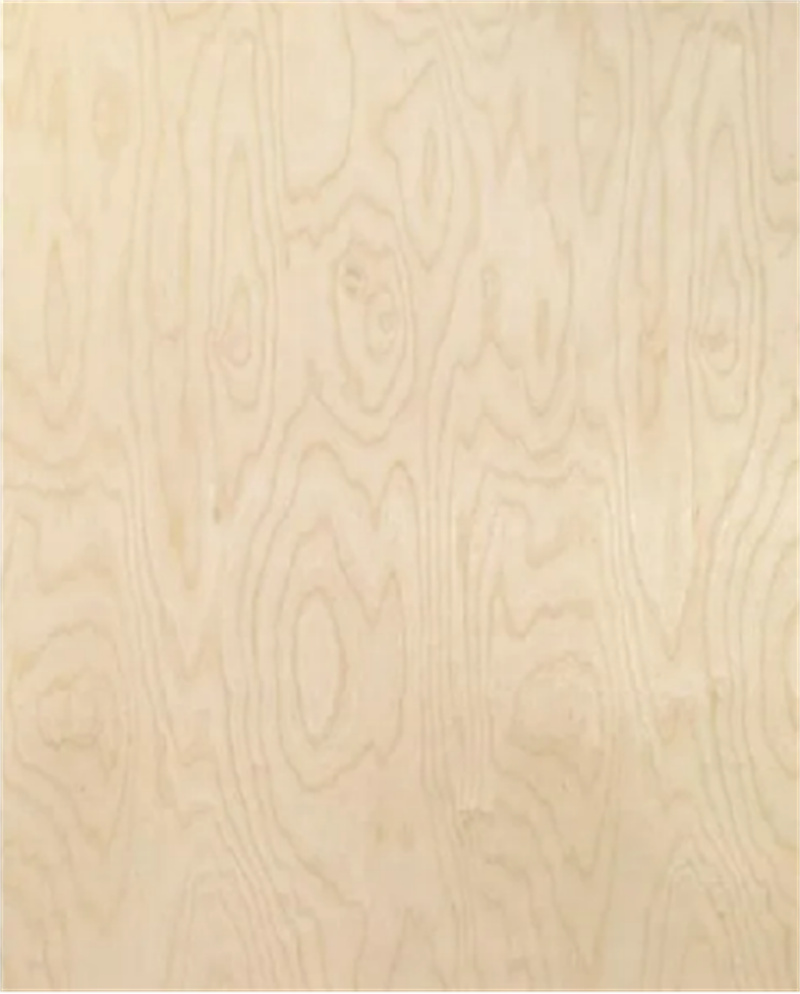 Birch plywood (6)