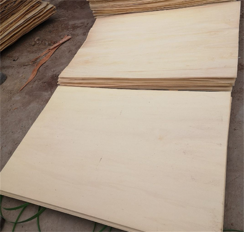 Whole Poplar Plywood (1)