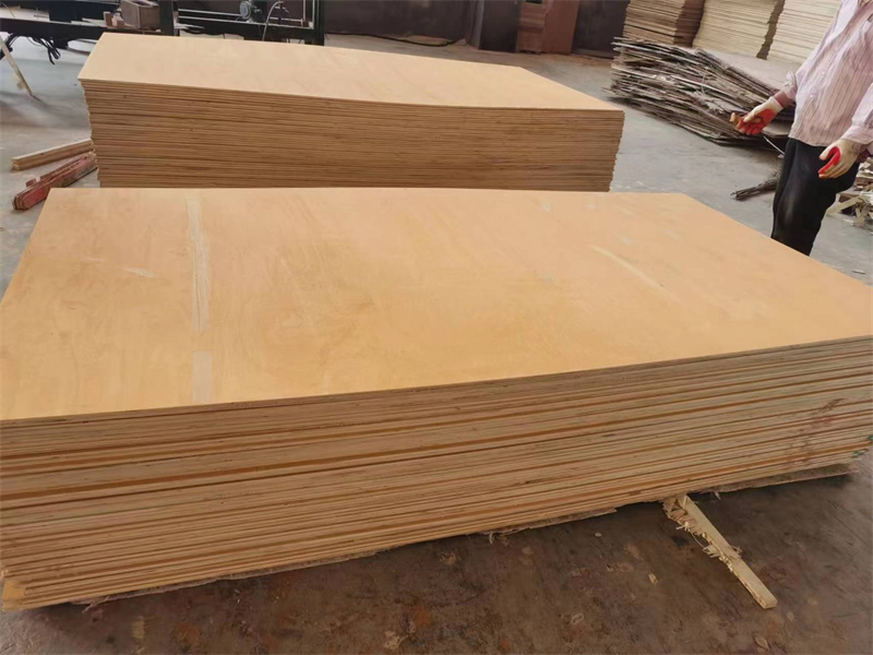 Whole Poplar Plywood (8)